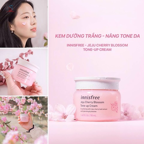 Kem Dưỡng Trắng Da Innisfree Jeju Cherry Blossom  Tone Up Cream 4