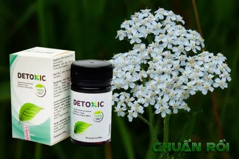 Detoxic là gì mà nhiều người tìm kiếm đến vậy?