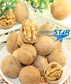 QUẢ ÓC CHÓ