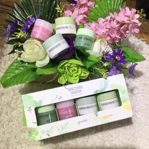 Set kem ốc sên Goodal MINI best cream collection goodal