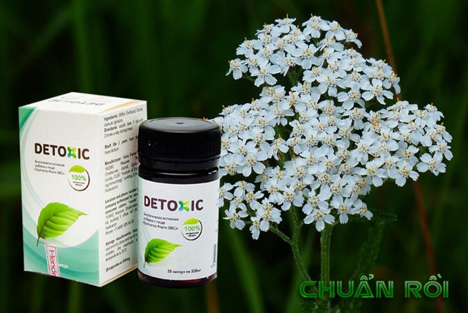 Detoxic là gì mà nhiều người tìm kiếm đến vậy?