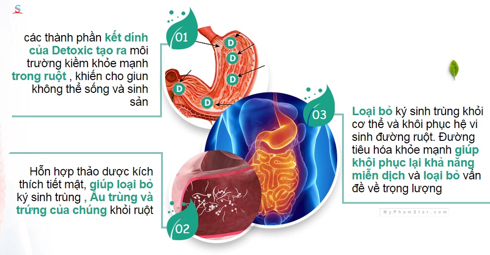 Detoxic diệt ký sinh trùng cải thiện hệ tiêu hóa 4