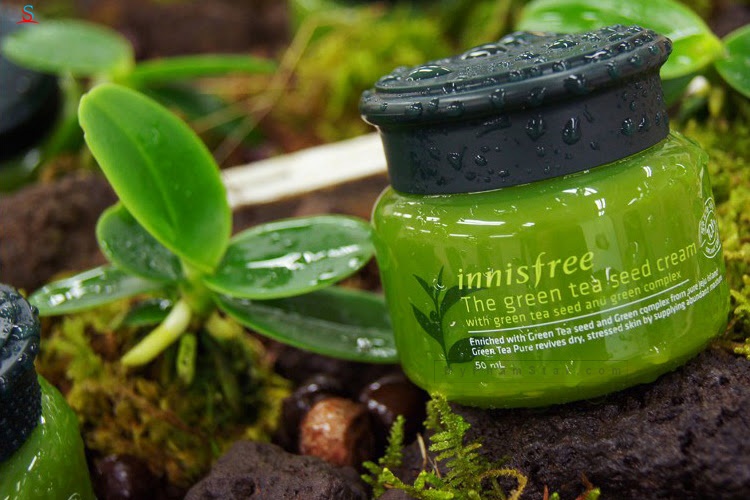 Kem dưỡng da The Green Tea Seed Cream Innisfree 1