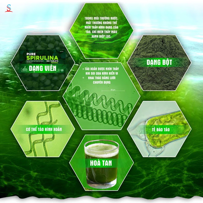 Viên uống tảo xoắn Spirulina Nhật 3