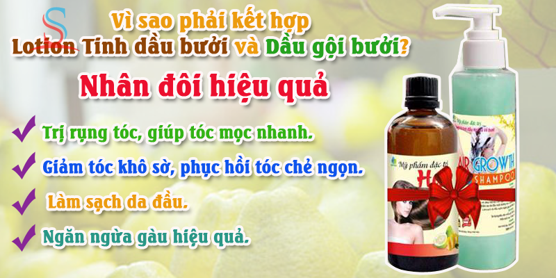 Combo dầu gội và tinh dầu bưởi kích thích mọc tóc và ngăn tóc gãy rụng 3