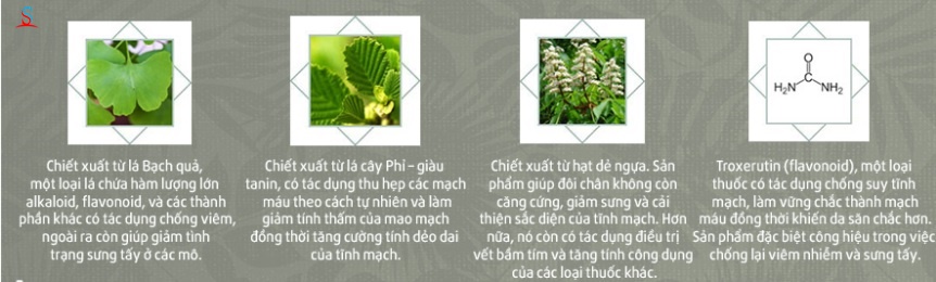 Kem Varikosette điều trị giãn tĩnh mạch 2