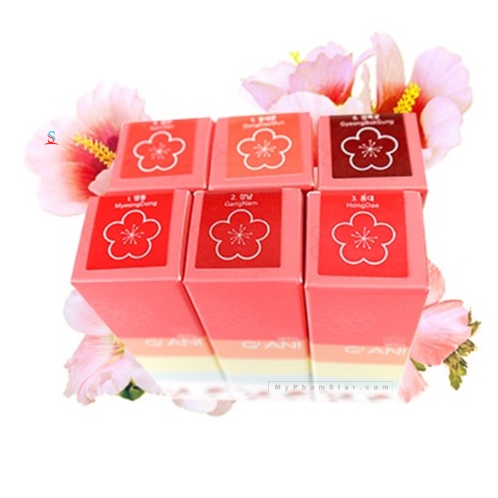 Son Gani Seoul H Lipstick Hàn Quốc 1