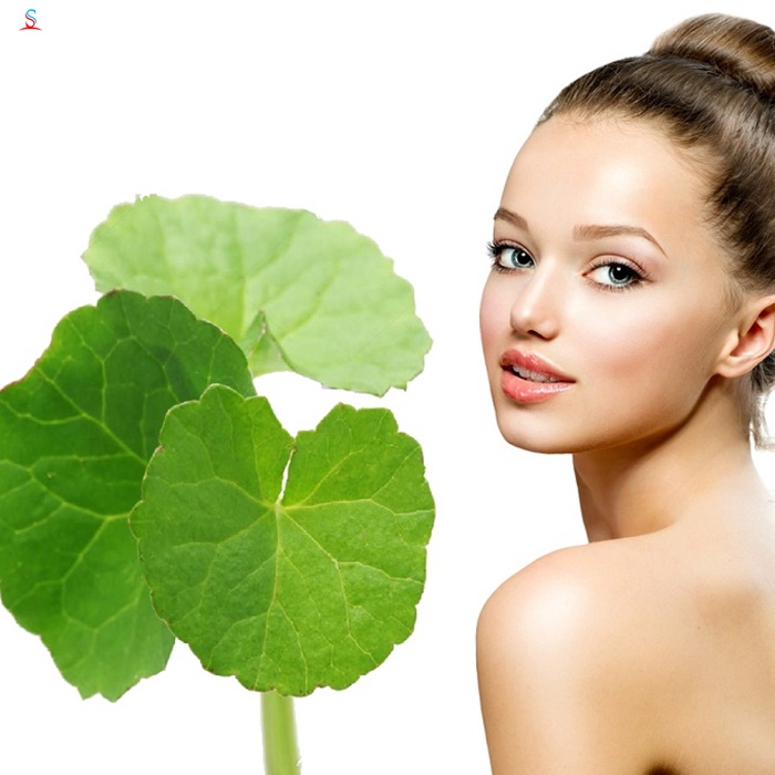 Mặt nạ tinh chất rau má Madagascar Centella Asiatica Skin1004 3