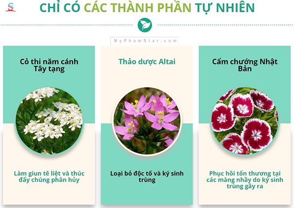 Detoxic diệt ký sinh trùng cải thiện hệ tiêu hóa 3