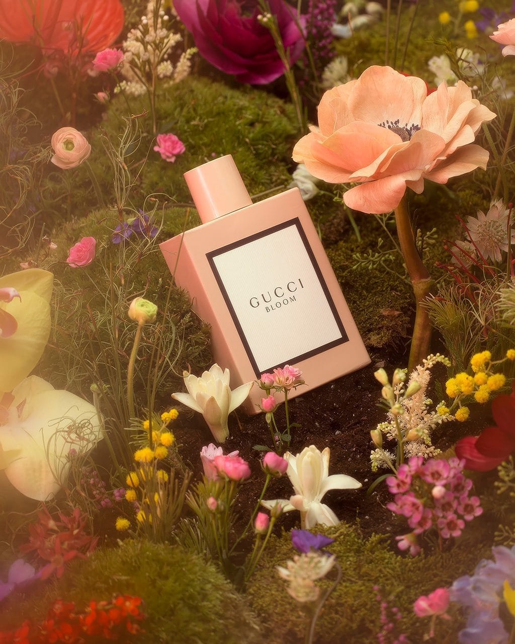 Nước hoa Gucci Bloom EDP 100ml